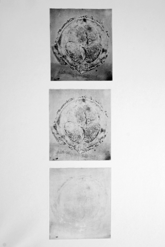 Atelier de gravure, plaque photopolymère