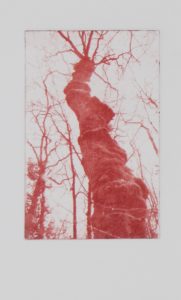 Atelier de gravure Film photopolymère