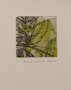 Atelier de gravure , cours Paris 13