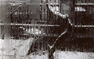 photo argentique Josef Sudek